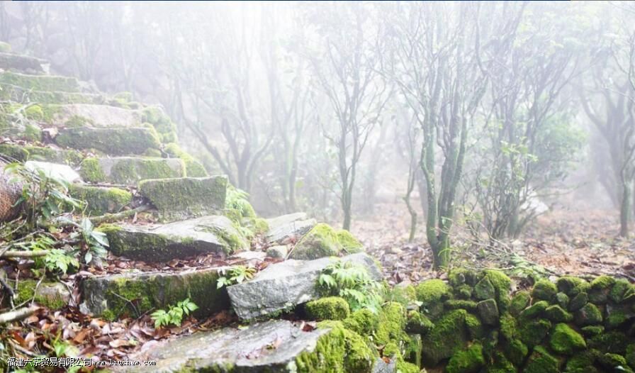 �㶫����������Щ