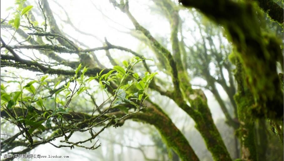 �㶫����������Щ