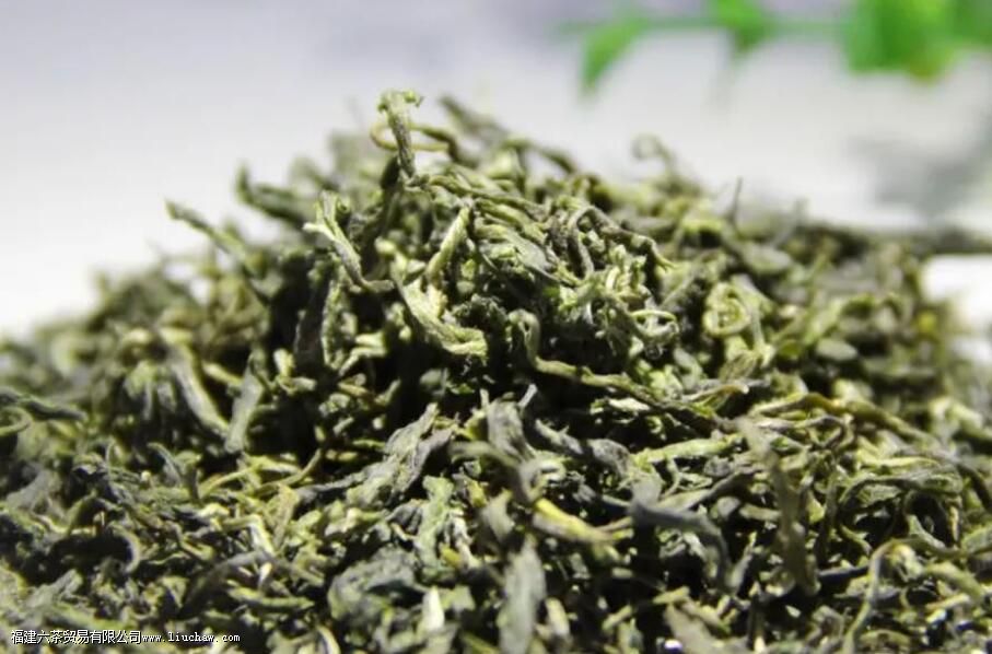 ���ݶ�����Щ��Ҷ ����ʮ������һ��