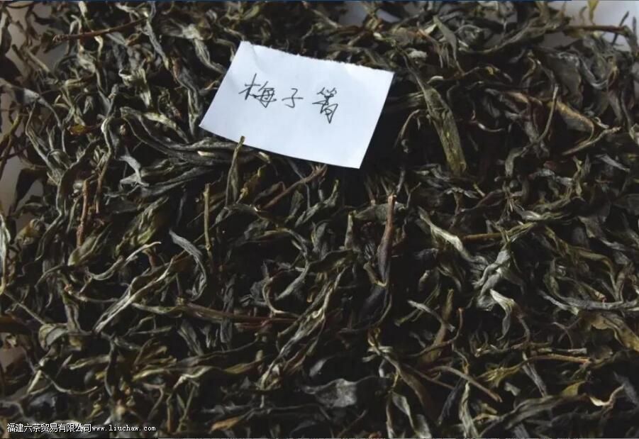 锅底塘古树茶口感特点 锅底塘古树茶口感特点