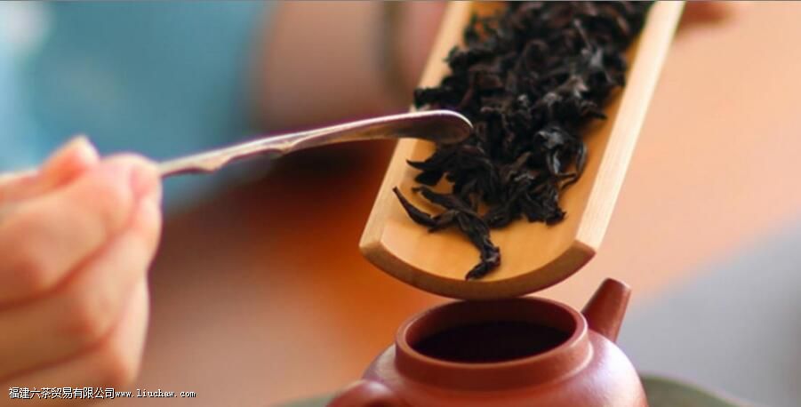 果香肉桂是什么茶 果香肉桂是什么茶