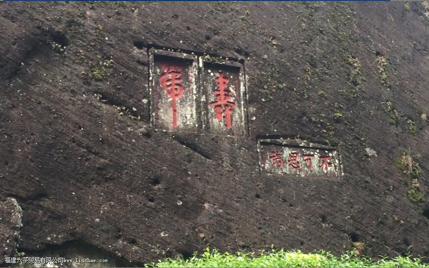 果香肉桂武夷岩茶是什么茶 果香肉桂武夷岩茶是什么茶