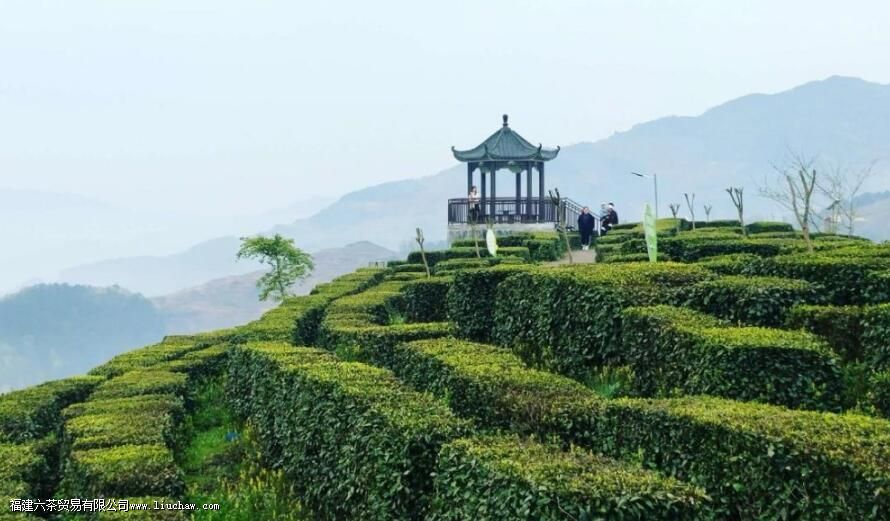 ���Һ����ص������