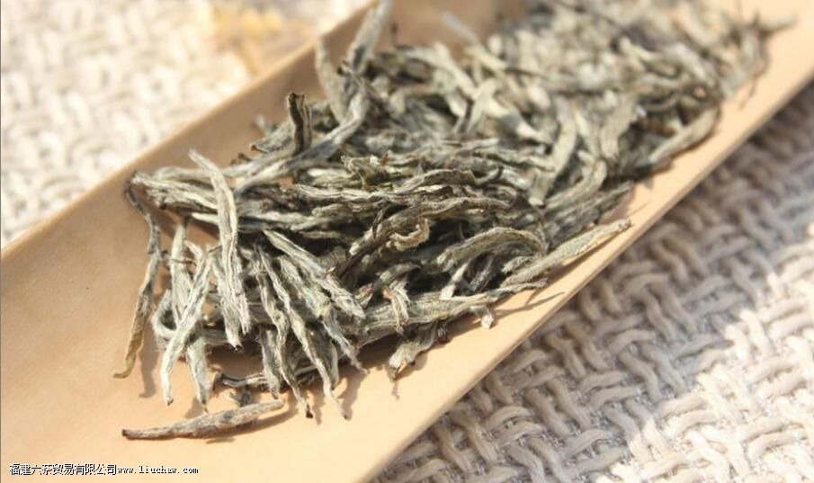 �Ȳ����ŵ����֪ʶ