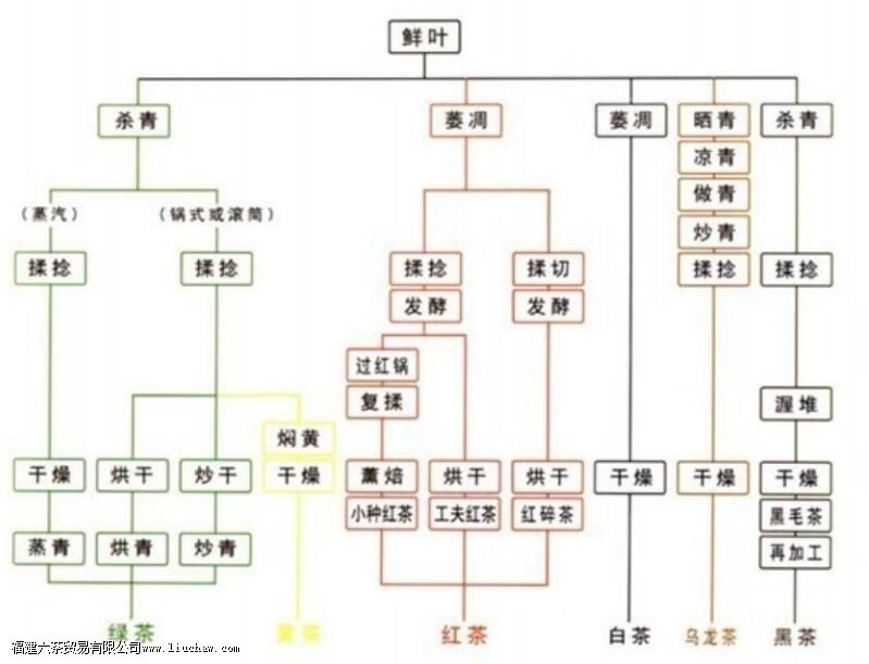 �Ȳ����ŵ����֪ʶ