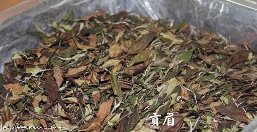 �Ȳ����ŵ����֪ʶ