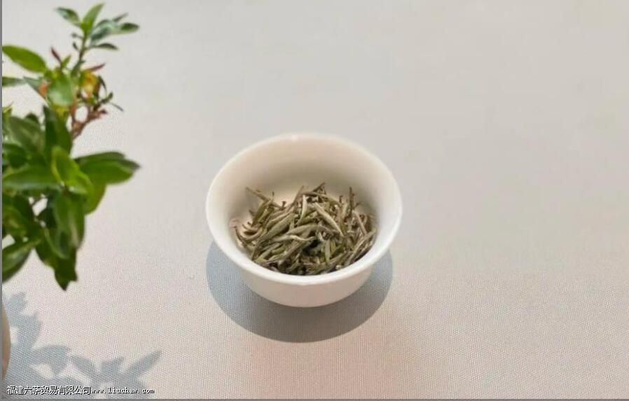 �Ȳ���Ҫע��ʲô �Ȳ����Щ����һ��Ҫ֪��