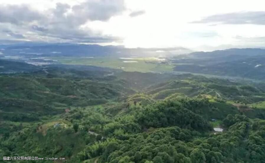 贺开茶山有哪些名茶 贺开茶山有哪些名茶