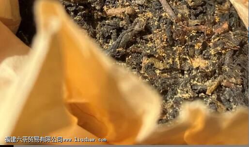 �ڲ�Ľ���ʲô ���ܷ��жϺڲ�ĺû�