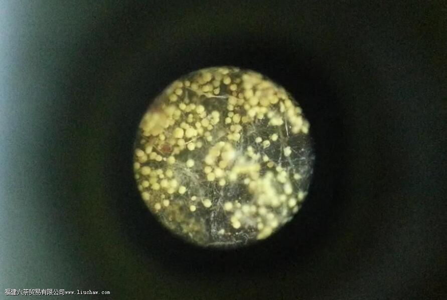 �ڲ�Ľ���ʲô ���ܷ��жϺڲ�ĺû�