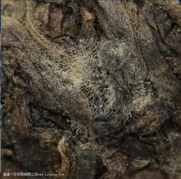 �ڲ�Ľ���ʲô ���ܷ��жϺڲ�ĺû�