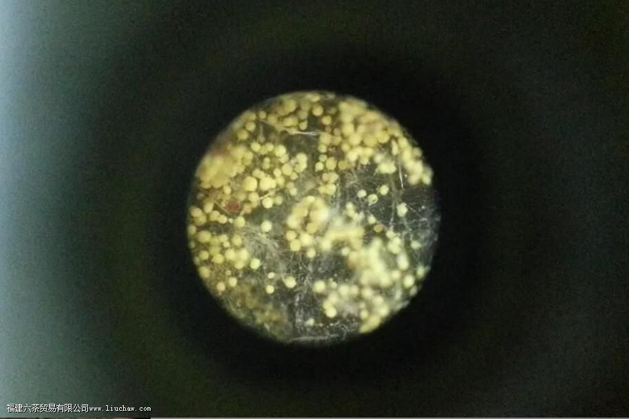 �ڲ����ʲô����