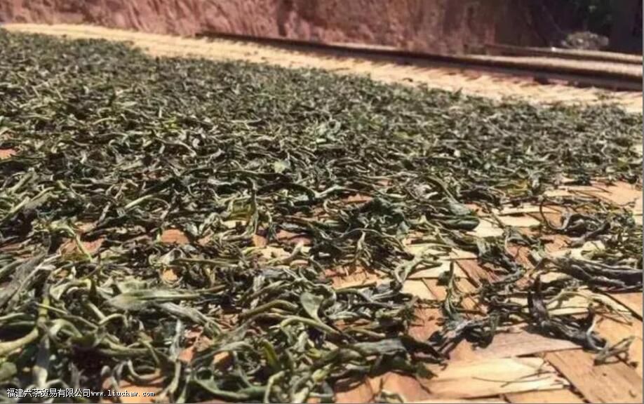 烘青茶与晒青茶怎么区分 烘青茶与晒青茶怎么区分
