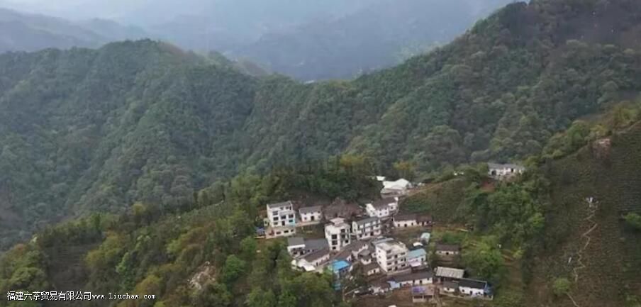 �����Ҷ����������