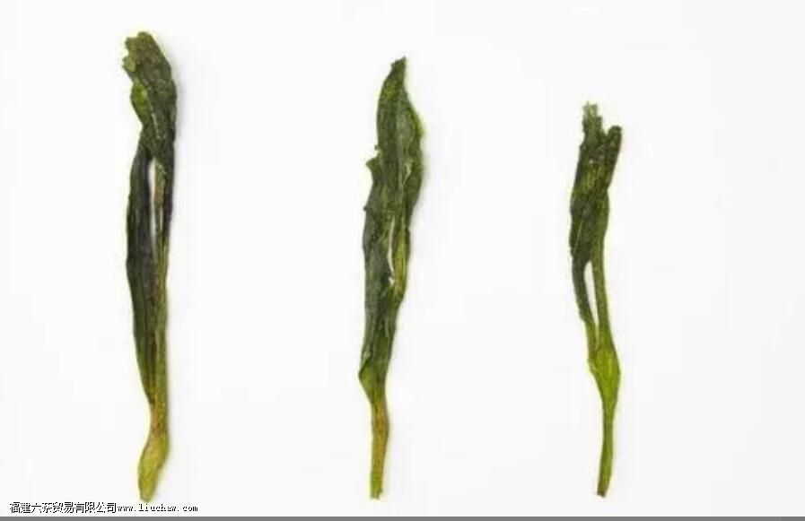 �����Ҷ����������