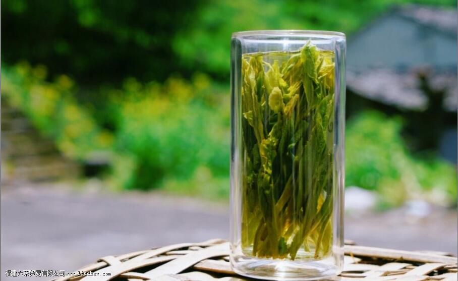 �����Ҷ����������