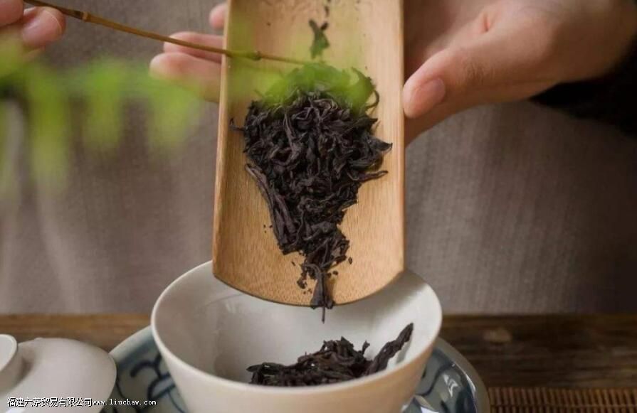 虎肉指的是什么茶有什么特点 虎肉指的是什么茶有什么特点