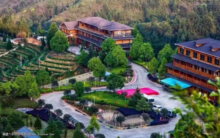 ����Է������ʲô