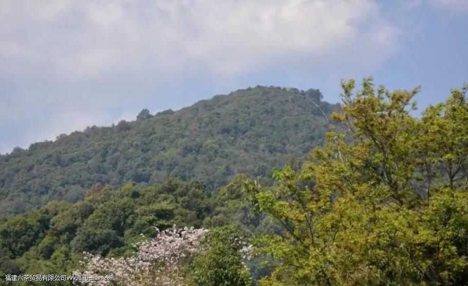 �����������������ɽ��