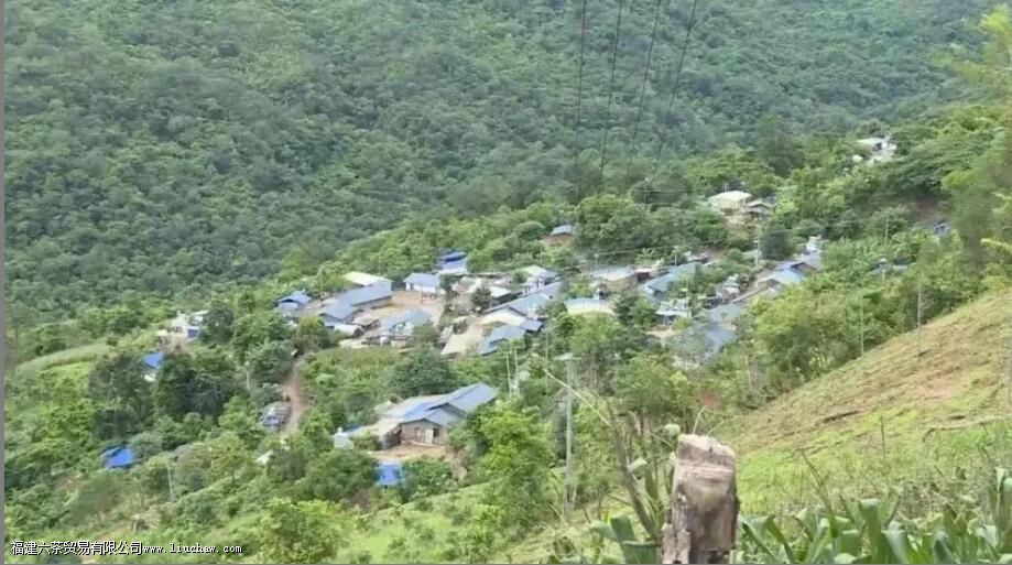 �����������������ɽ��