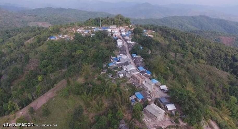 �����������������ɽ��