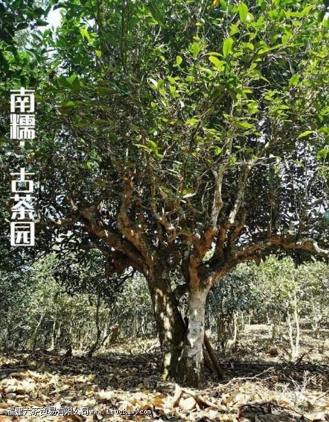 �����������������ɽ��