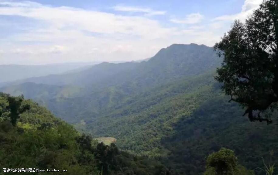 �����������������ɽ��