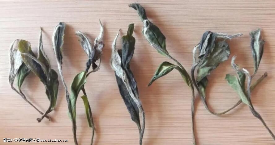 ��Ұ������Щ�ŵ�