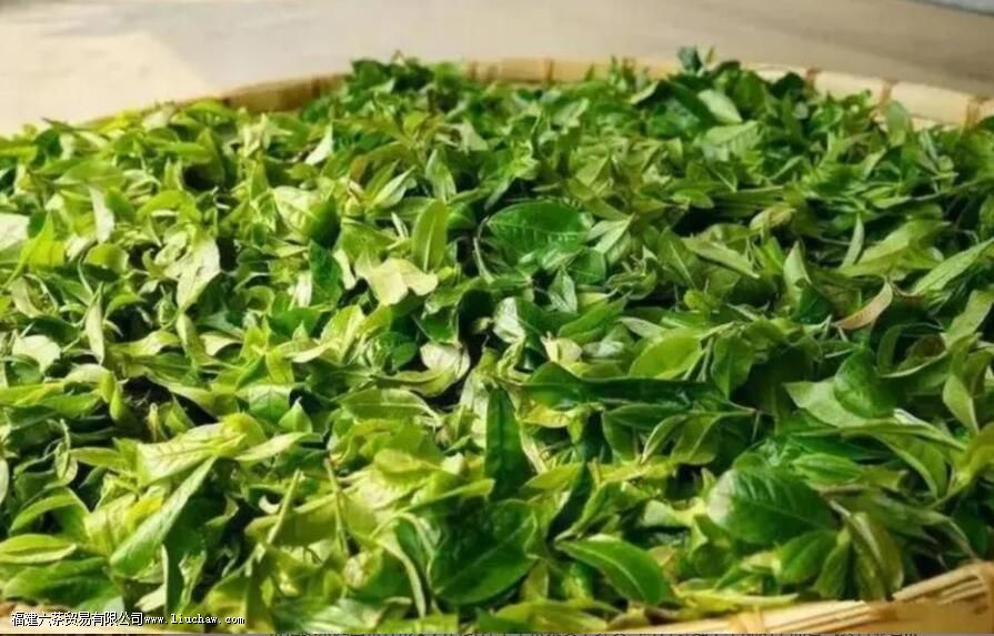 ��Ұ������Щ�ŵ�