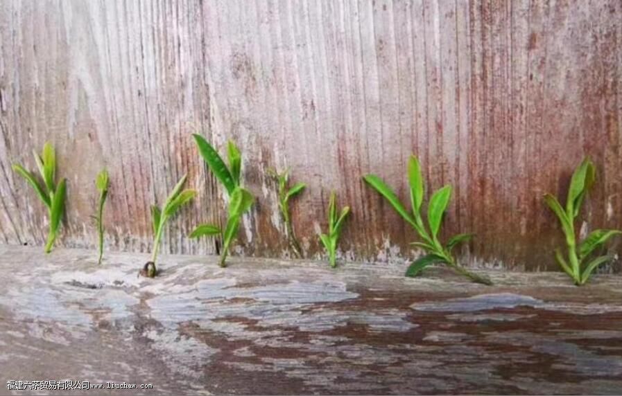 ��Ұĵ��������ص�