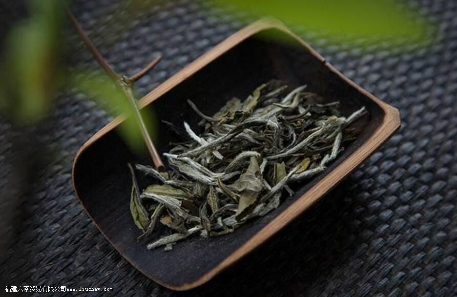 ��Ұĵ��������ص�