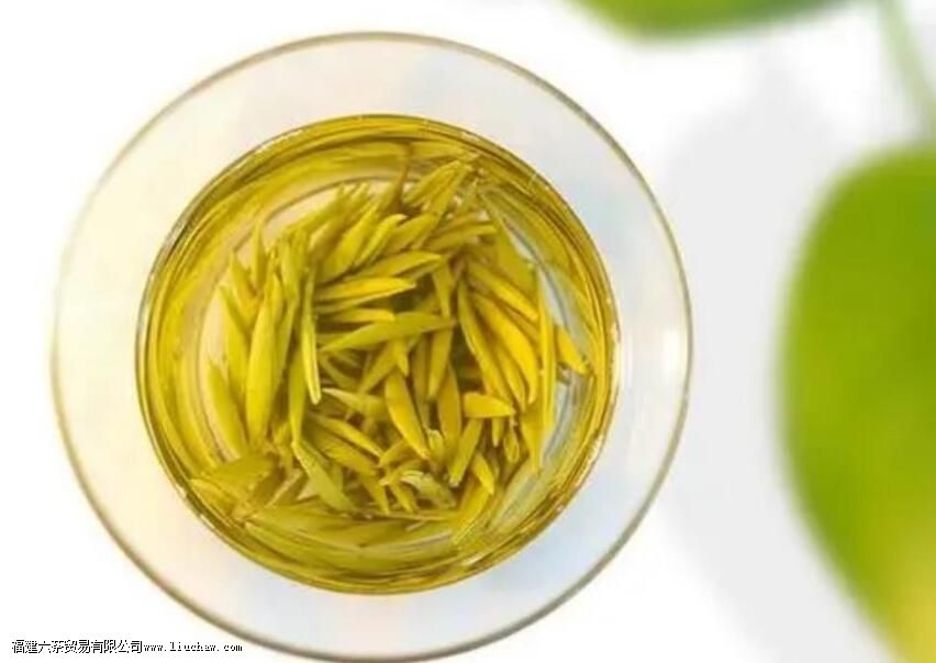 �Ʋ���ʲô�� �Ʋ���ص����