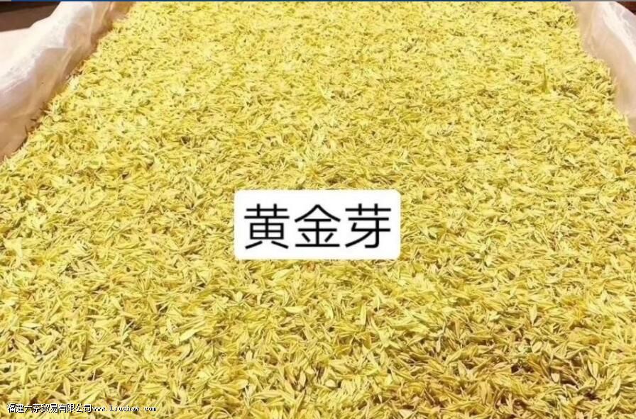 �ƽ�ѿ��Ҷ����