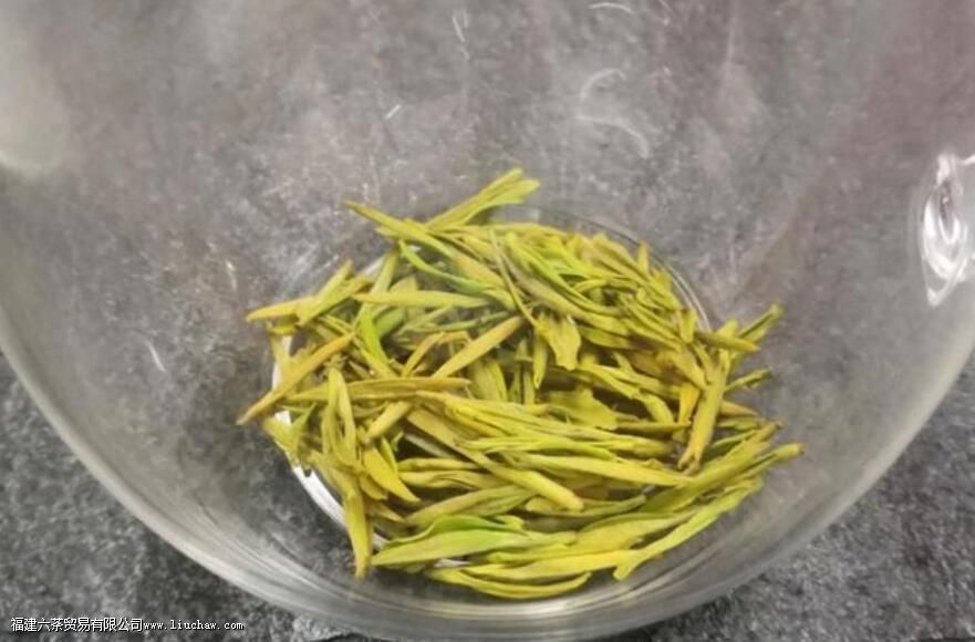 黄金芽的品质特征 黄金芽的品质特征