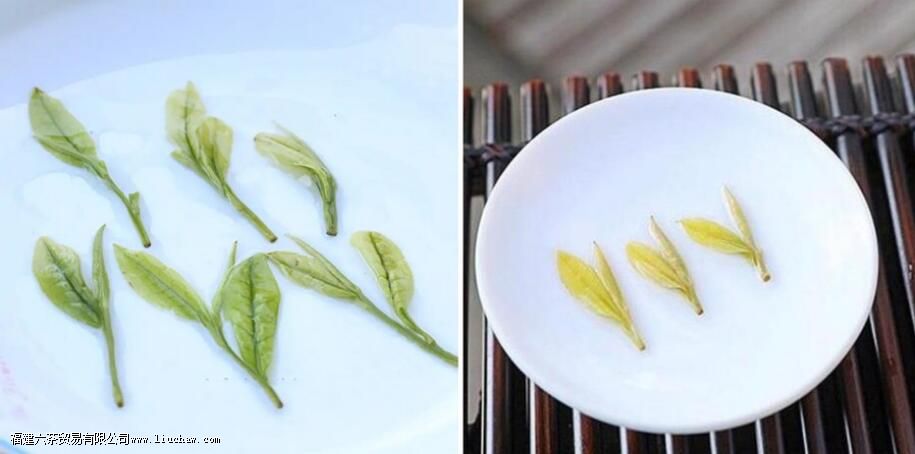 �ƽ�ѿ�Ͱ����ײ���ô����