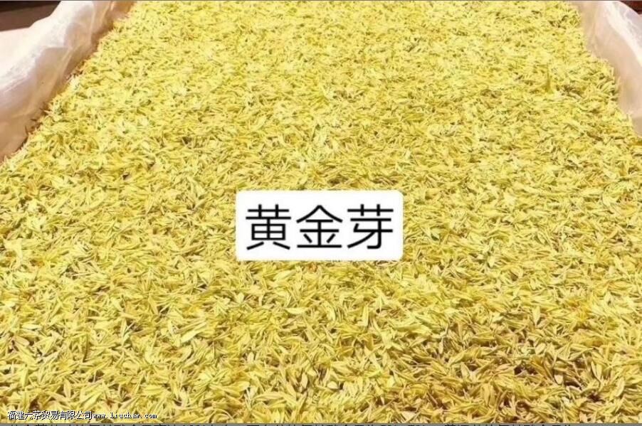 �ƽ�ѿ���̲���