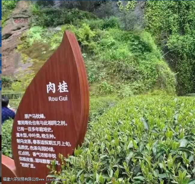 ��Է�������ص�