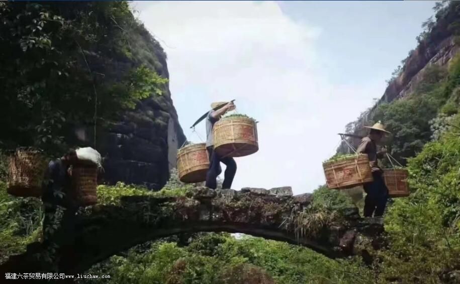 ��Է�������ص�