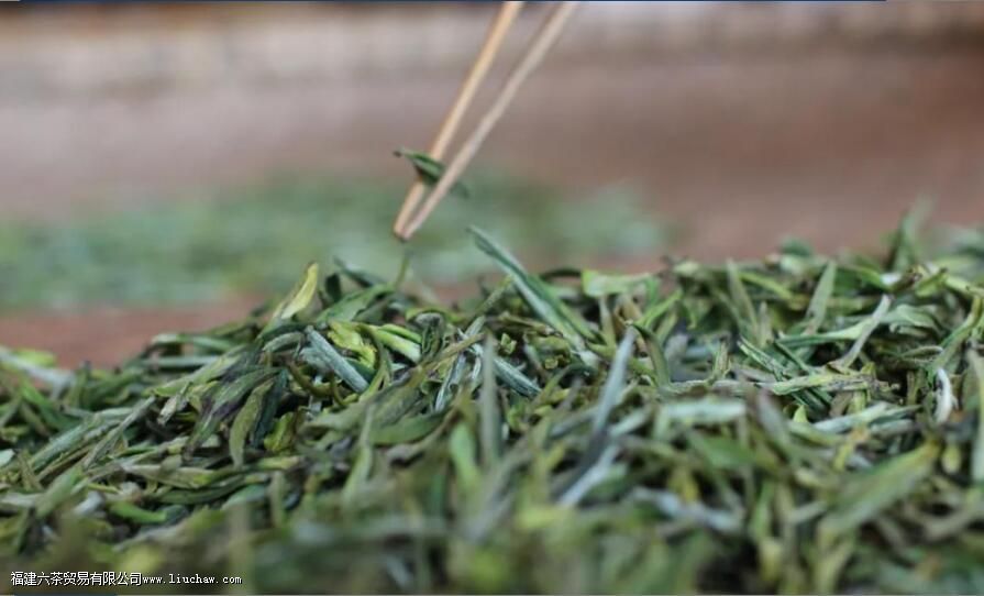 霍山黄芽黄茶的特征以及显著特点 霍山黄芽黄茶的特征以及显著特点