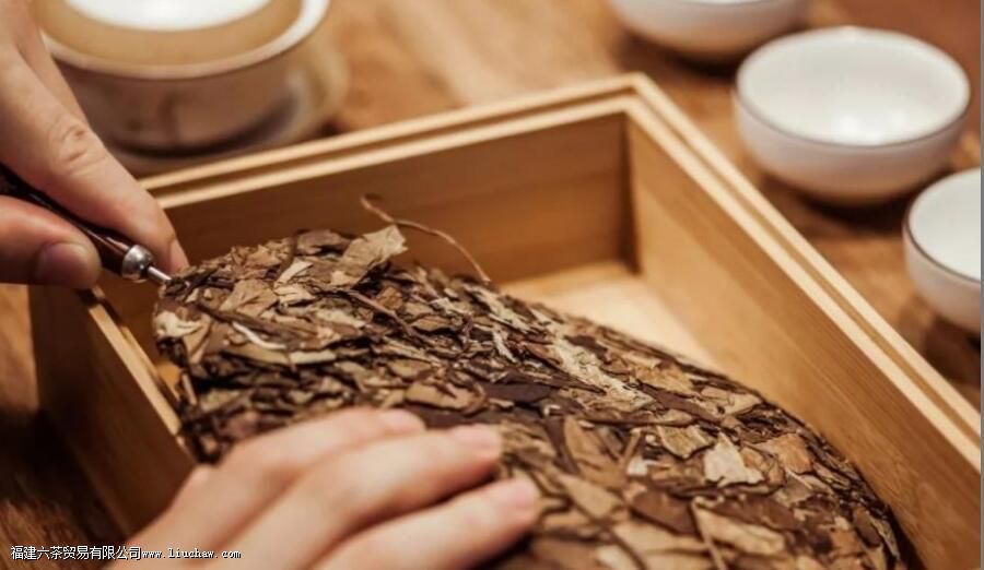 几年白茶可以煮 几年白茶可以煮