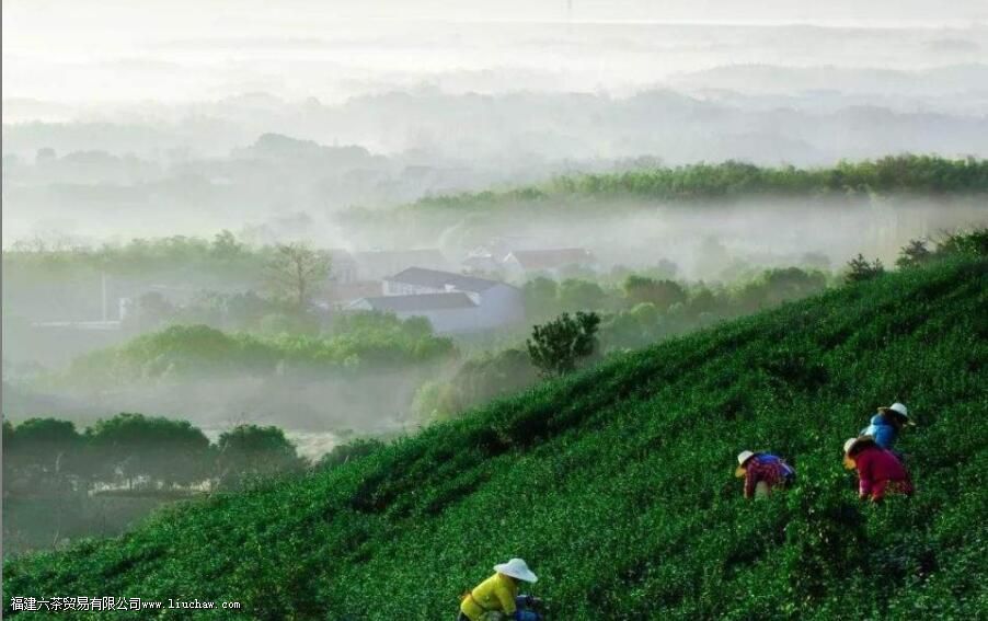 ����С����ʲô��