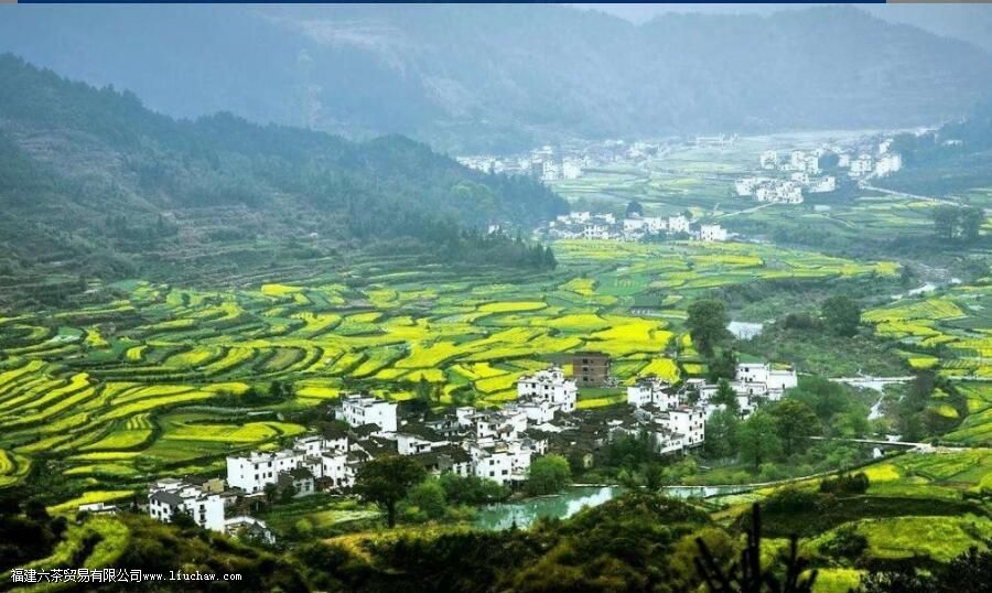 ���������̲�֮һ����Դë������Щ�ص�