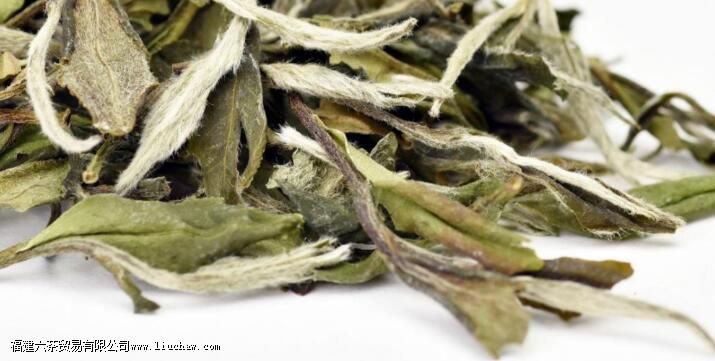 ���������Щ