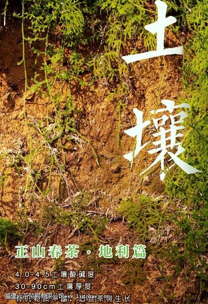 ��üΪʲô������