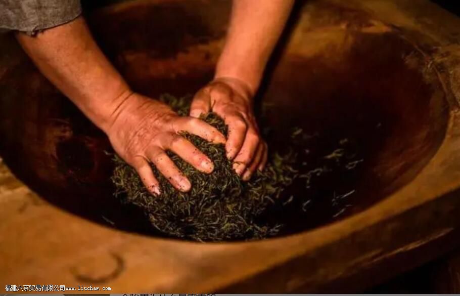 ��üΪʲô������