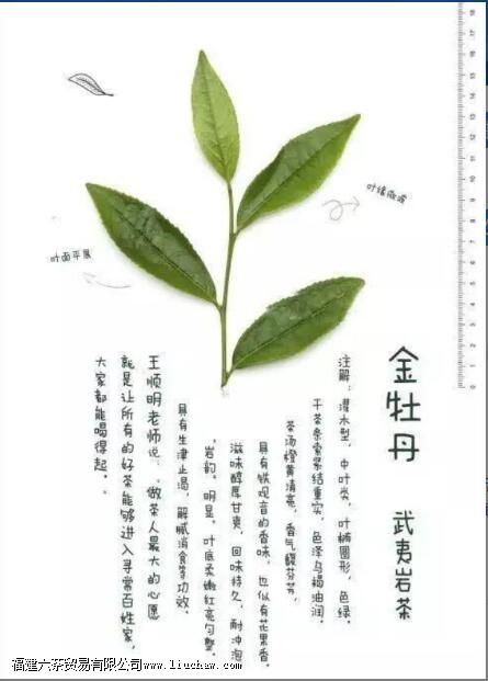 ��ĵ����ʲô������Щ�ص�