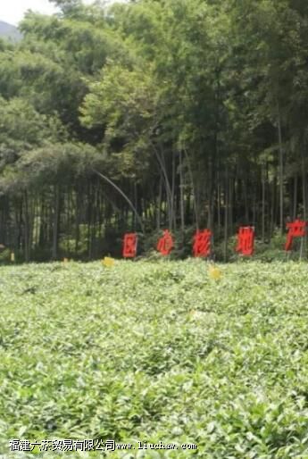 ��կ��ü��ʲô��