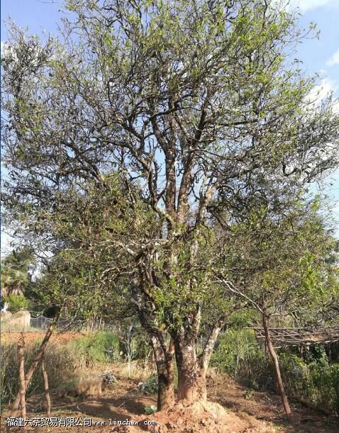 �����ն�����ص�