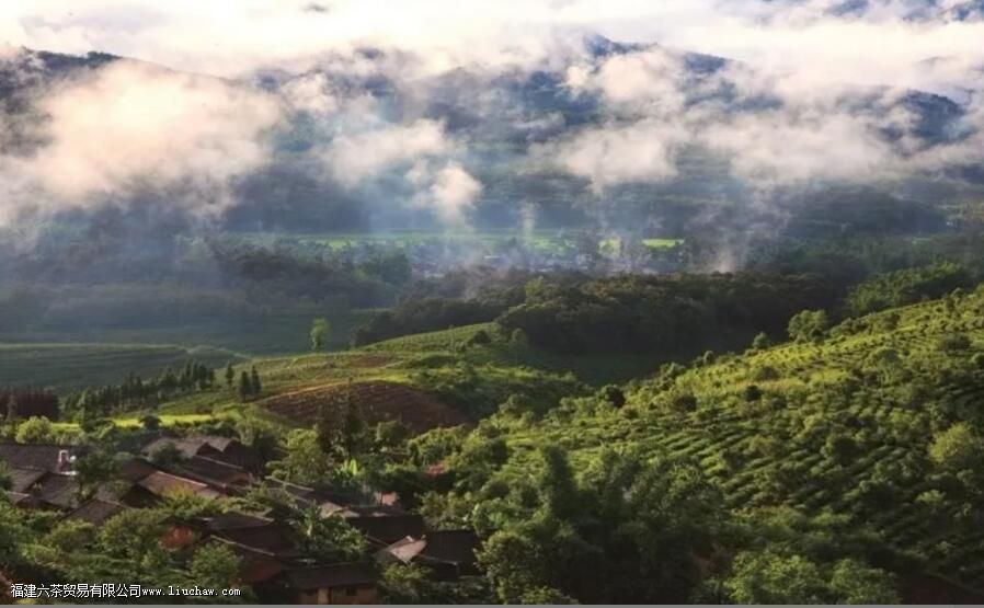 ������������Щɽ