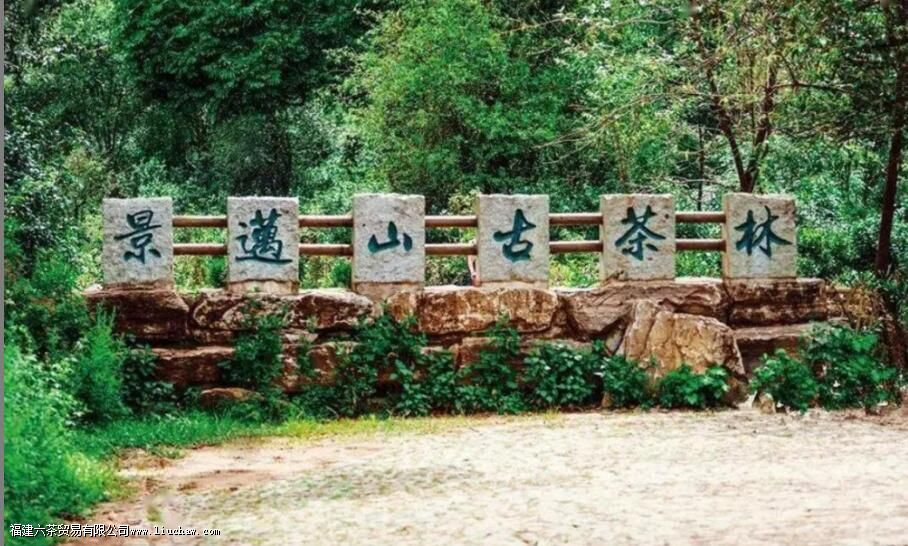 ������������Щɽ